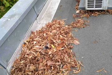 Nettoyage de toiture