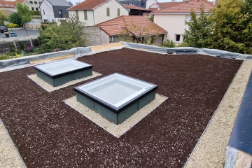 Végétalisation mise en place